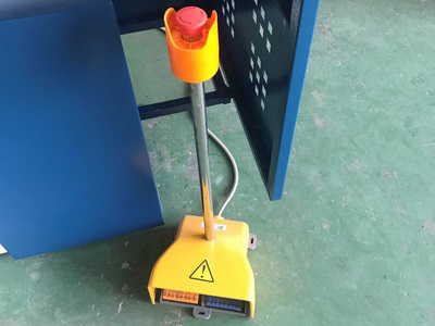 Interruptor de pedal